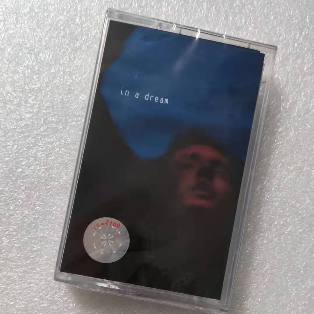 Troye Sivan In A Dream Album M - Electronic Gift recension och pris
